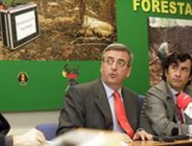La Comunidad esclarece los 222 incendios forestales ocurridos este año