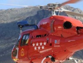 Rescatan en helicóptero a un perro herido tras el ataque de una cabra