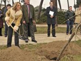 El Ayuntamiento plantará más de 2.000 árboles en el distrito de Barajas