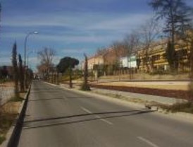 IU denuncia la tala de árboles centenarios en Hortaleza