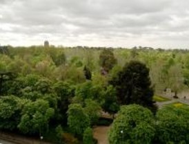 El parque del Retiro se implica con la naturaleza