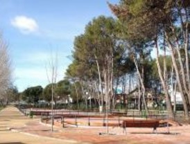 Múltiples actividades para celebrar el Día del Medio Ambiente en Pozuelo de Alarcón