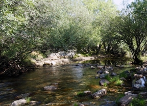 El Parque Nacional de Guadarrama tendrá una unidad del Seprona