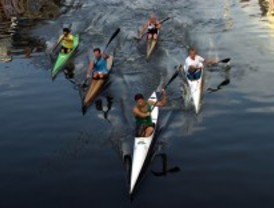 Nuevo ensayo para evaluar la toxicidad de aguas