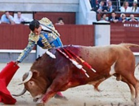 Toreo de mucha verdad de Fandiño ante ¡por fin! un encierro encastado de Alcurrucén