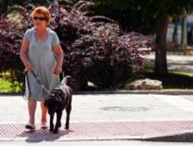 El 10% de los contenedores estarán adaptados para discapacitados