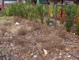 Toda la oposición denuncia la suciedad de Madrid