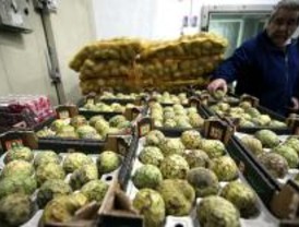 Mercamadrid tinta la comida para prevenir la recogida irregular