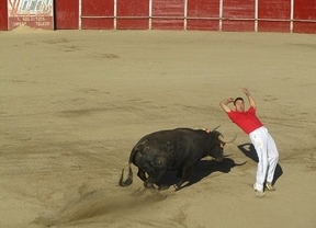 Fiestas de Soto del Real 2013