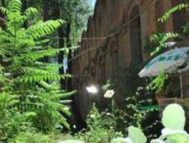Matadero reune a las semillas de la ecología