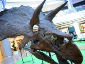 Los dinosaurios invaden el Centro Comercial La Gavía en 'Dinópolis'