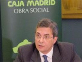 Caja Madrid nombra a Carlos Martínez consejero delegado del holding 'Cibeles'
