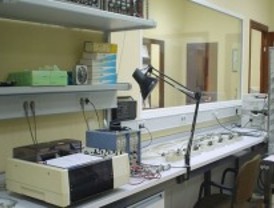 Importancia de la ramificación axónica en el Parkinson