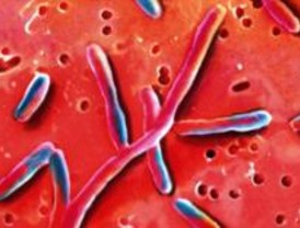 Piden a la Fiscalía una investigación por un presunto brote de legionella en Getafe