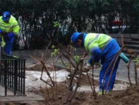 Peligra el sueldo de jardineros y basureros