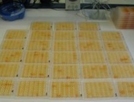 Nuevo proyecto de Nanomedicina