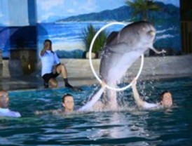 El Zoo abre por las noches