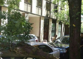 La rama de un árbol causa daños en un coche en Chamberí