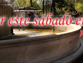 Agenda de ocio y cultura del sábado