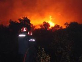 Controlado un incendio originado en un amontonamiento de poda en San Fernando