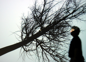 El arte biométrico Rafael Lozano-Hemmerde llega a Madrid