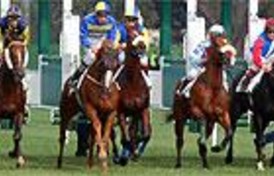 Arranca la temporada Primavera-Verano en el hipódromo de La Zarzuela