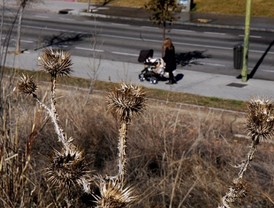 Diez años de lucha por el parque Manolito Gafotas