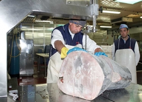 El 'buzón antifraude' destapa 211 empleos irregulares en la región