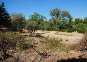 Lissavetzky critica la cesión de la finca de Torre Arias a un privado