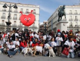 San Valentín canino en el corazón de Madrid