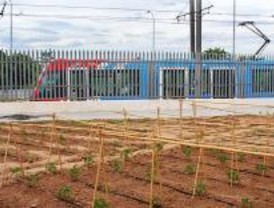 Metro Ligero acoge de nuevo su 'huerto solidario'