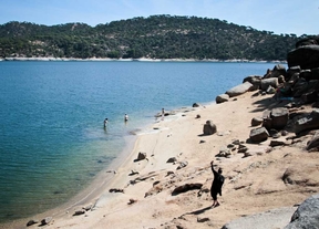 La Comunidad fumigará desde el aire 1.200 hectáreas contra la procesionaria