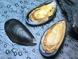 El mejillón como fábrica de nuevos materiales