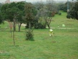8 millones para contratar a parados