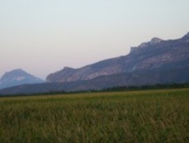 La agricultura mediterránea ante el cambio climático