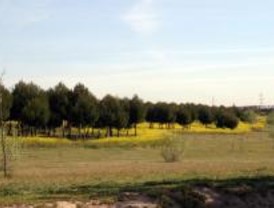 La Comunidad programa actividades para conocer los espacios naturales de la región