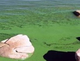 Herramientas útiles para el análisis de la contaminación ambiental