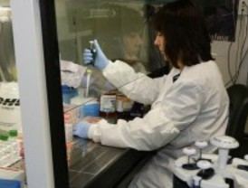 Antihipertensivo que previene el daño vascular