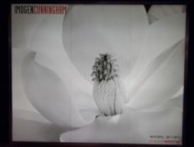 La mirada de Imogen Cunningham llega a Madrid