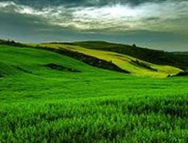 Objetivo: reducir gases invernadero en agricultura