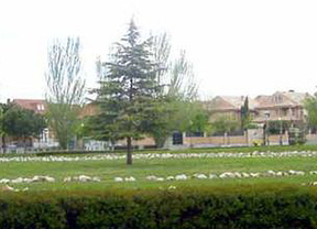 Getafe elabora un Plan de Mejora de la Calidad del Aire