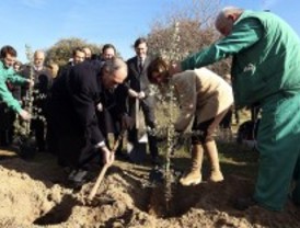 Las empresas plantarán 10.000 árboles en la Casa de Campo para compensar emisiones