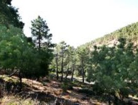 CCOO y UGT ven ilegal que el PORN de Guadarrama no haya pasado por el CES