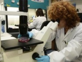 Resistencia a antibióticos en bacterias humanas y animales