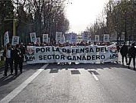 Miles de ganaderos se concentran en Madrid para reclamar ayudas
