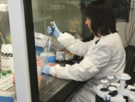 La biotecnología industrial se perfila como alternativa a los procesos tradicionales