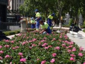 Un millón de flores para las calles de Madrid