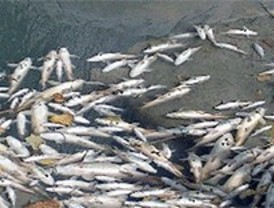 El Canal niega que Madrid contamine el Tajo