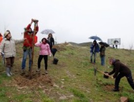 Piden protección para el parque Manolito Gafotas