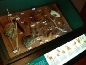 La exposición 'Madrid+Natural' llega a Móstoles